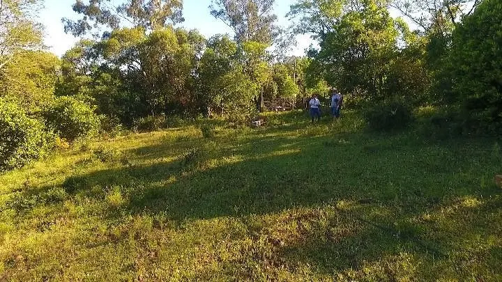 Sítio à venda de 6 ha em Santo Antônio da Patrulha, RS, Brasil