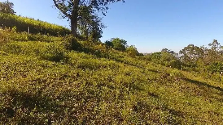 Sítio à venda de 6 ha em Santo Antônio da Patrulha, RS, Brasil