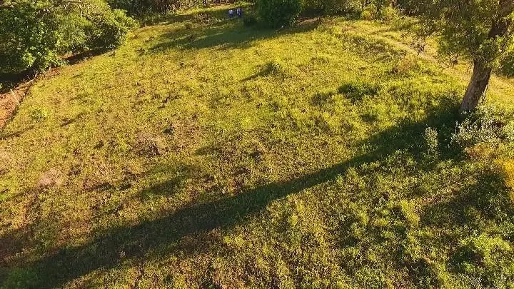 Sítio à venda de 6 ha em Santo Antônio da Patrulha, RS, Brasil