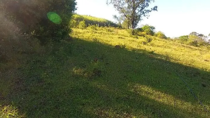 Sítio à venda de 6 ha em Santo Antônio da Patrulha, RS, Brasil
