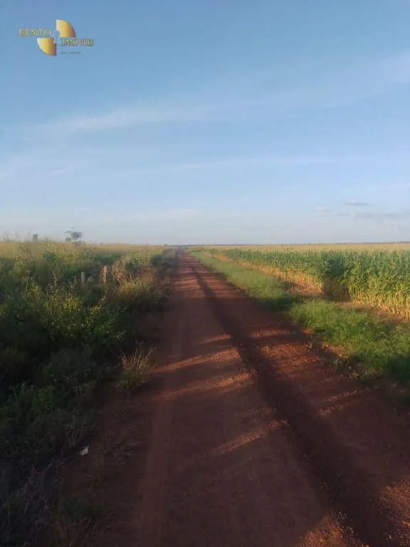 Fazenda à venda e para Arrendar de 1.448 ha em Marcelândia, MT, Brasil