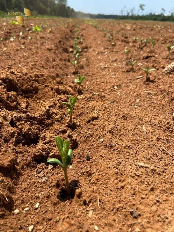 Fazenda à venda e para Arrendar de 1.448 ha em Marcelândia, MT, Brasil