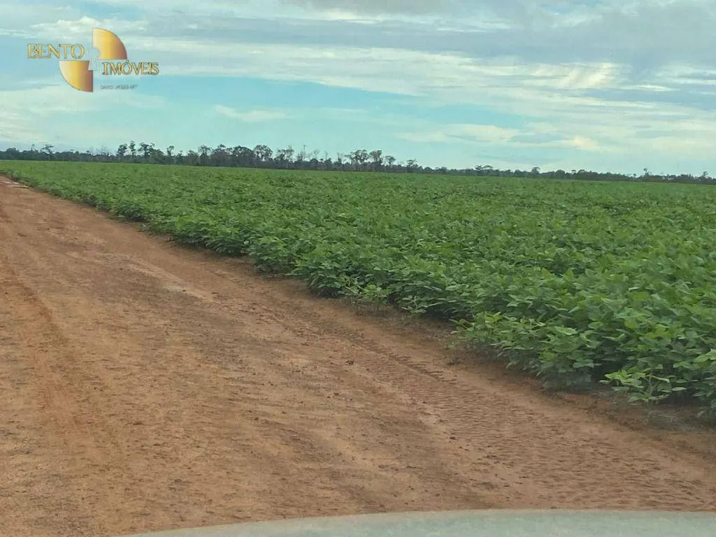 Fazenda à venda e para Arrendar de 1.448 ha em Marcelândia, MT, Brasil