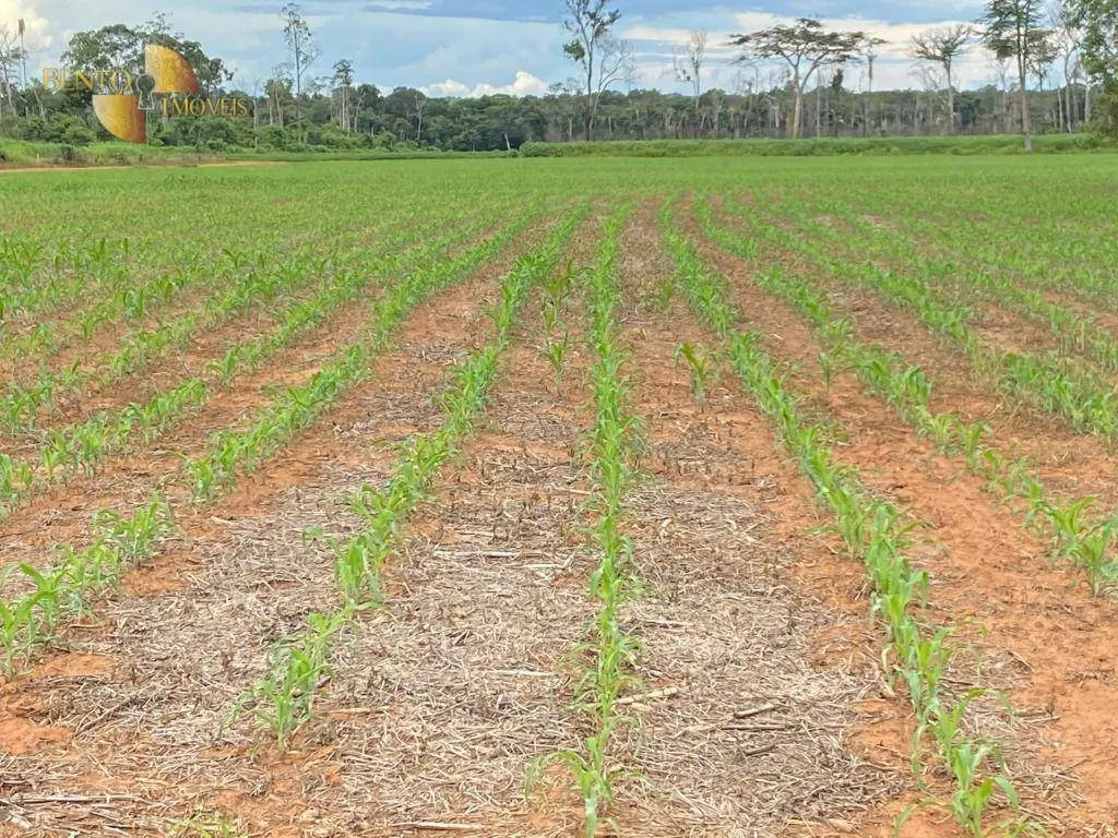 Fazenda à venda e para Arrendar de 1.448 ha em Marcelândia, MT, Brasil