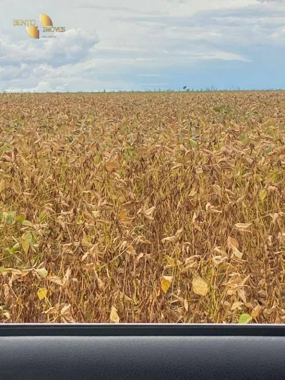 Fazenda à venda e para Arrendar de 1.448 ha em Marcelândia, MT, Brasil