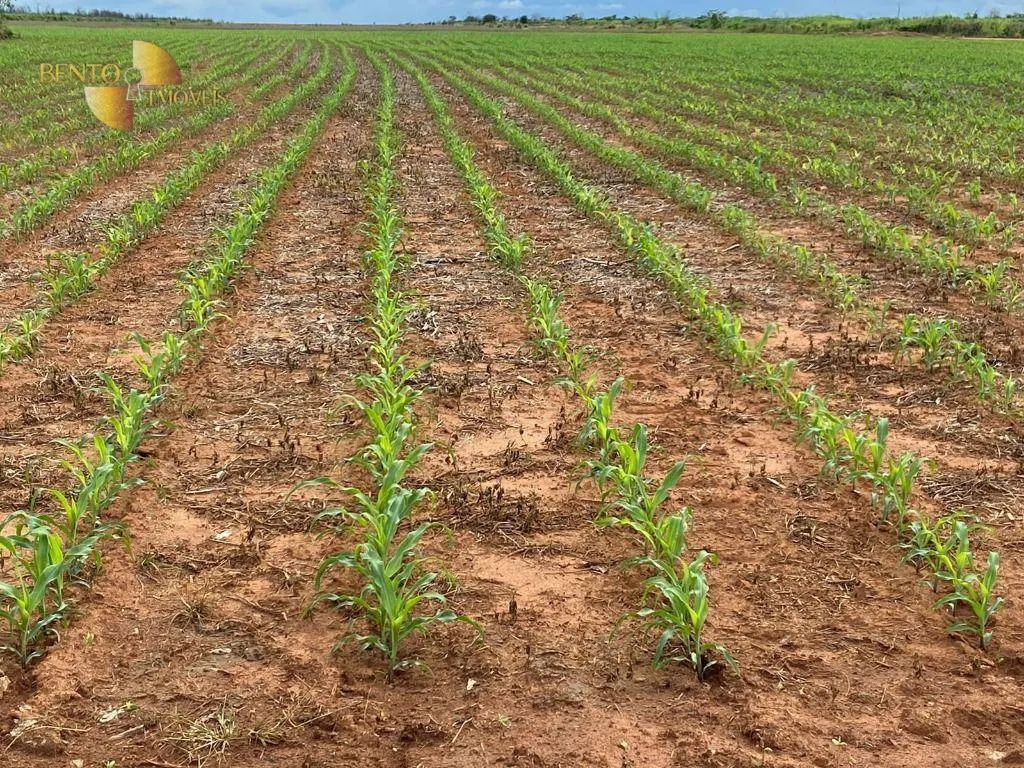Fazenda à venda e para Arrendar de 1.448 ha em Marcelândia, MT, Brasil