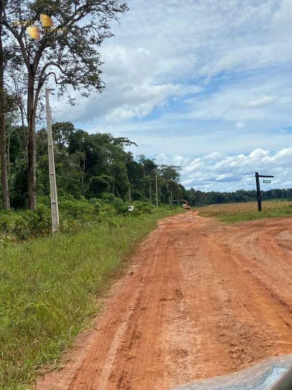 Fazenda à venda e para Arrendar de 1.448 ha em Marcelândia, MT, Brasil