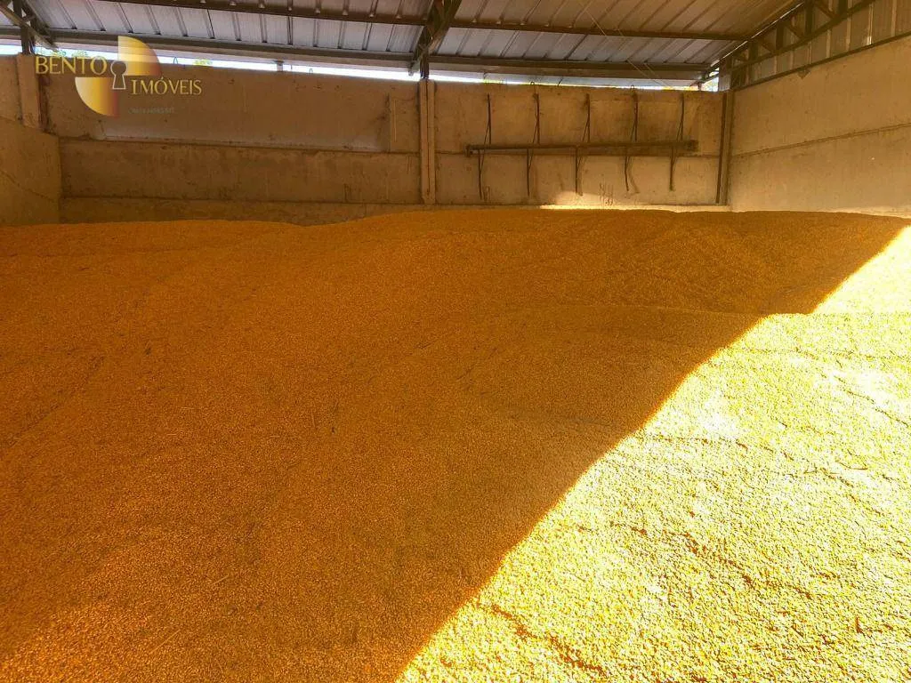 Fazenda à venda e para Arrendar de 1.448 ha em Marcelândia, MT, Brasil