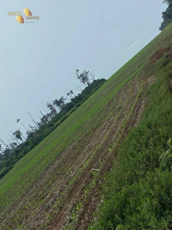 Fazenda à venda e para Arrendar de 1.448 ha em Marcelândia, MT, Brasil