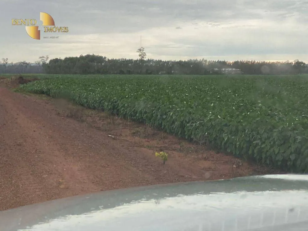 Fazenda à venda e para Arrendar de 1.448 ha em Marcelândia, MT, Brasil