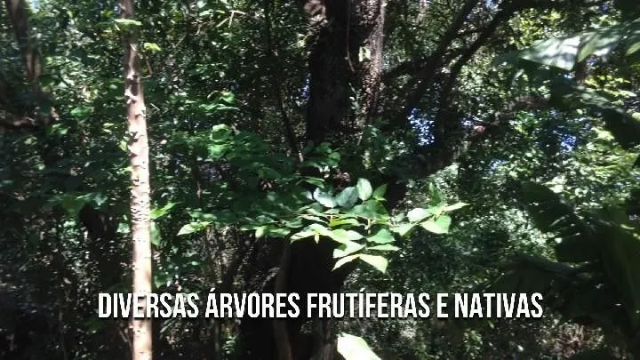 Chácara à venda de 2.500 m² em Santo Antônio da Patrulha, RS, Brasil