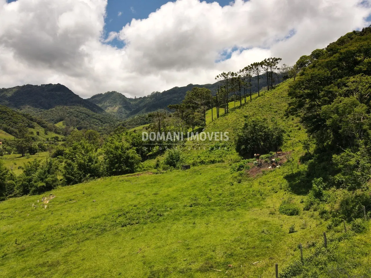 Small farm for sale of 15 acres in Campos do Jordão, SP, Brazil