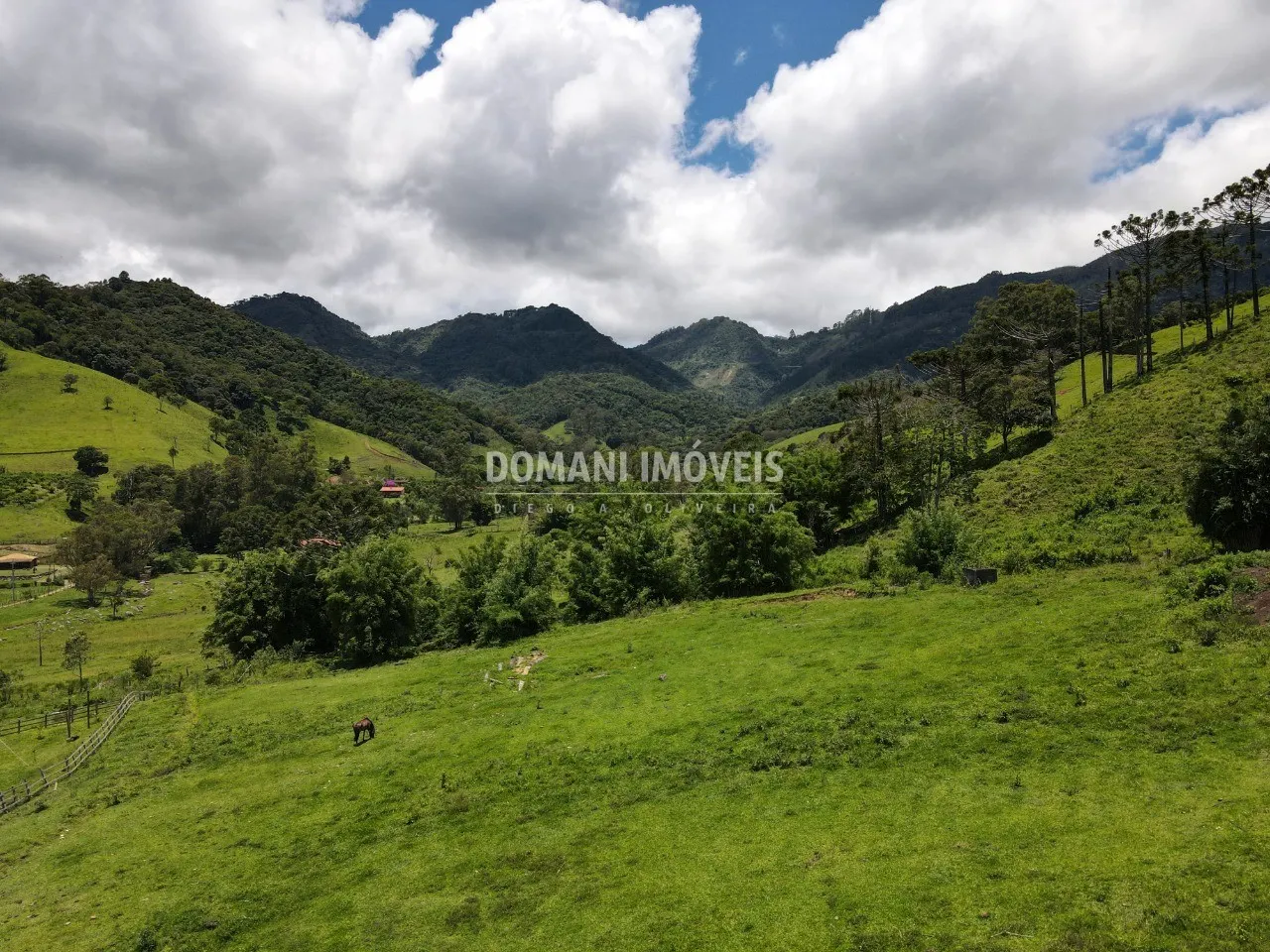 Small farm for sale of 15 acres in Campos do Jordão, SP, Brazil
