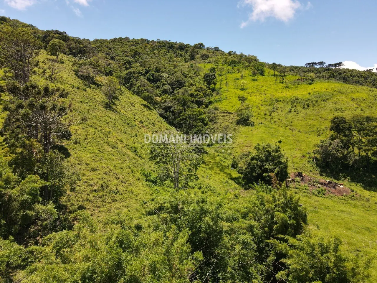 Small farm for sale of 15 acres in Campos do Jordão, SP, Brazil