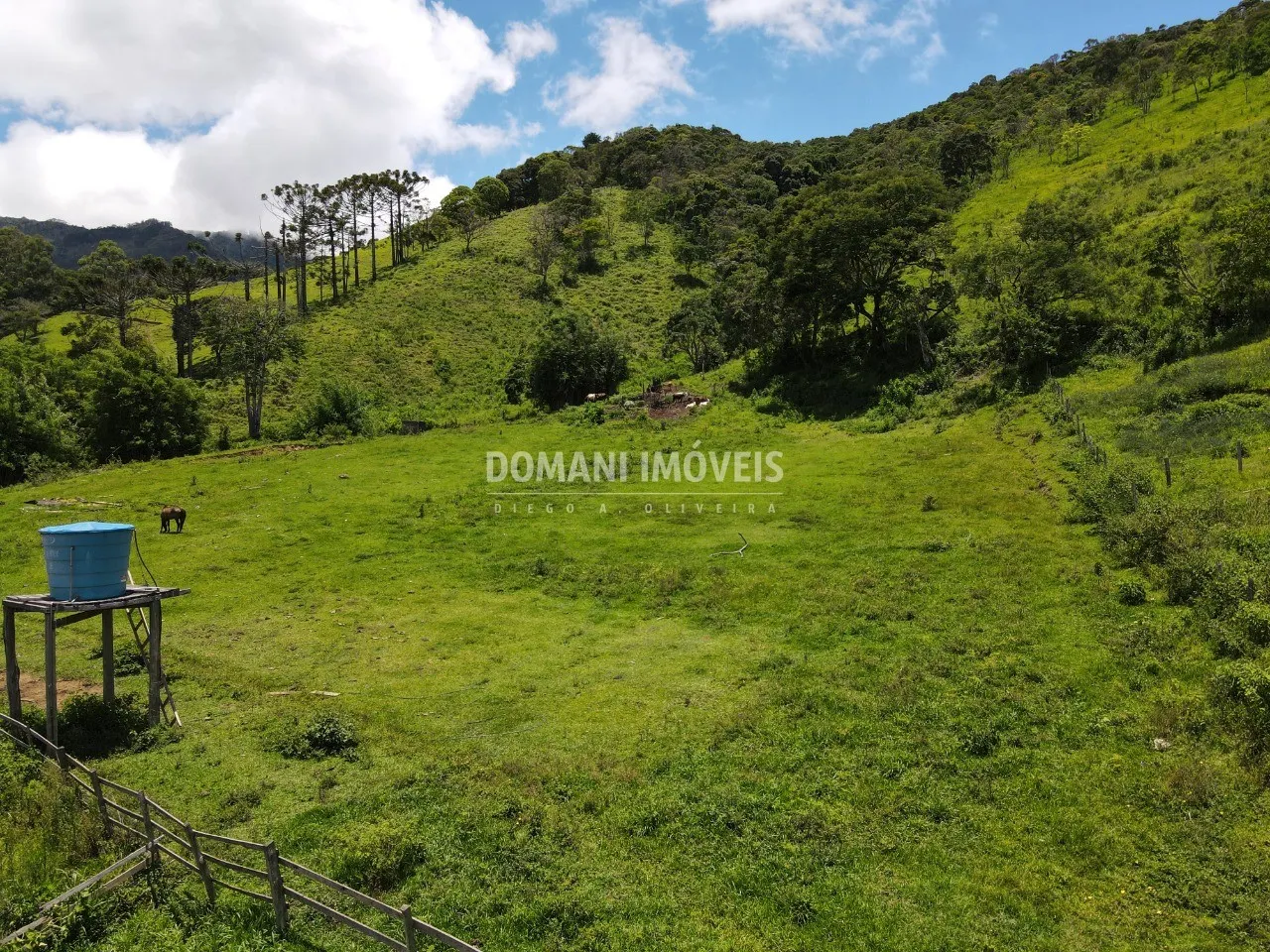 Small farm for sale of 15 acres in Campos do Jordão, SP, Brazil