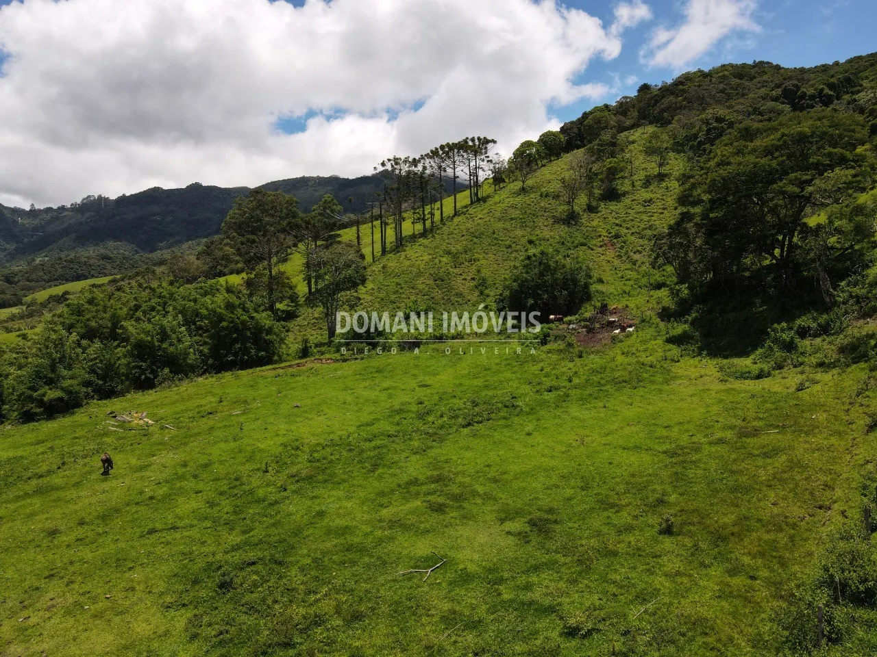 Small farm for sale of 15 acres in Campos do Jordão, SP, Brazil
