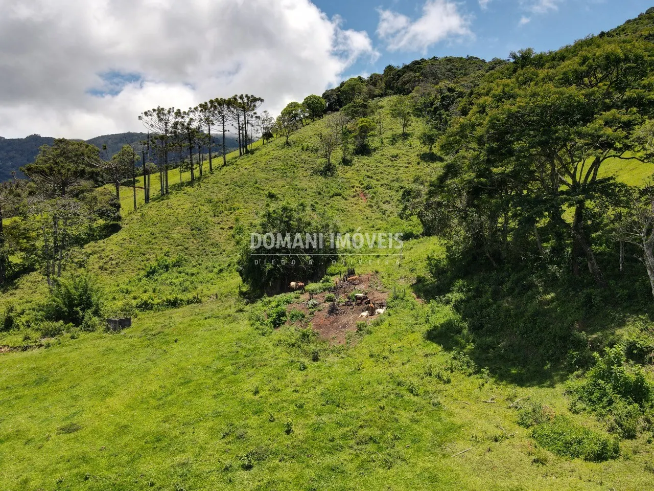 Small farm for sale of 15 acres in Campos do Jordão, SP, Brazil
