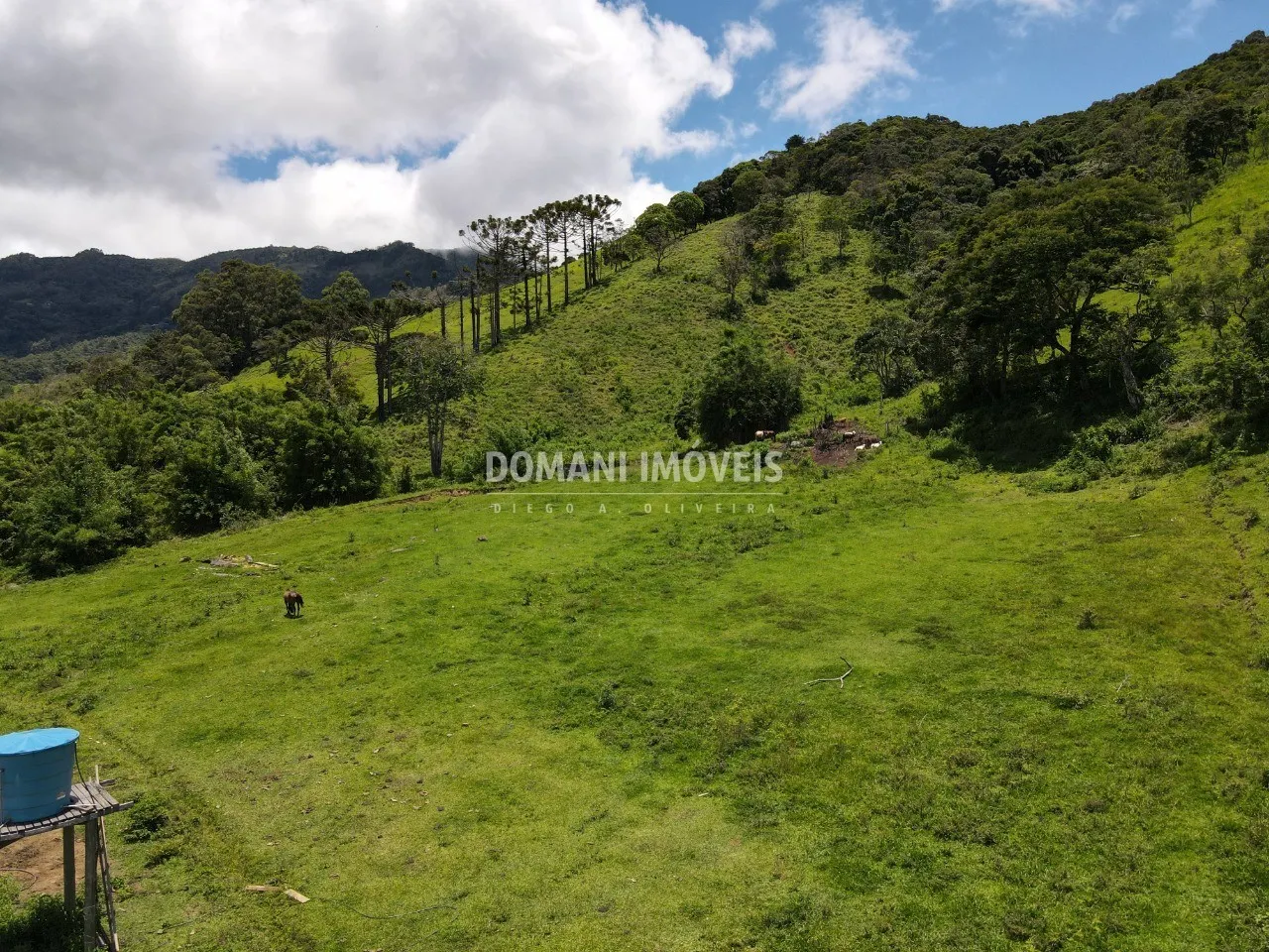 Small farm for sale of 15 acres in Campos do Jordão, SP, Brazil