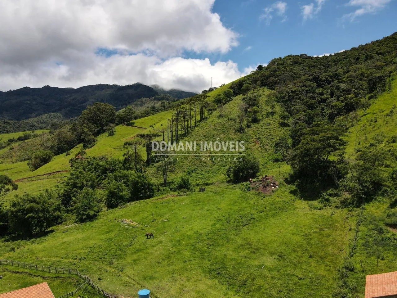 Small farm for sale of 15 acres in Campos do Jordão, SP, Brazil