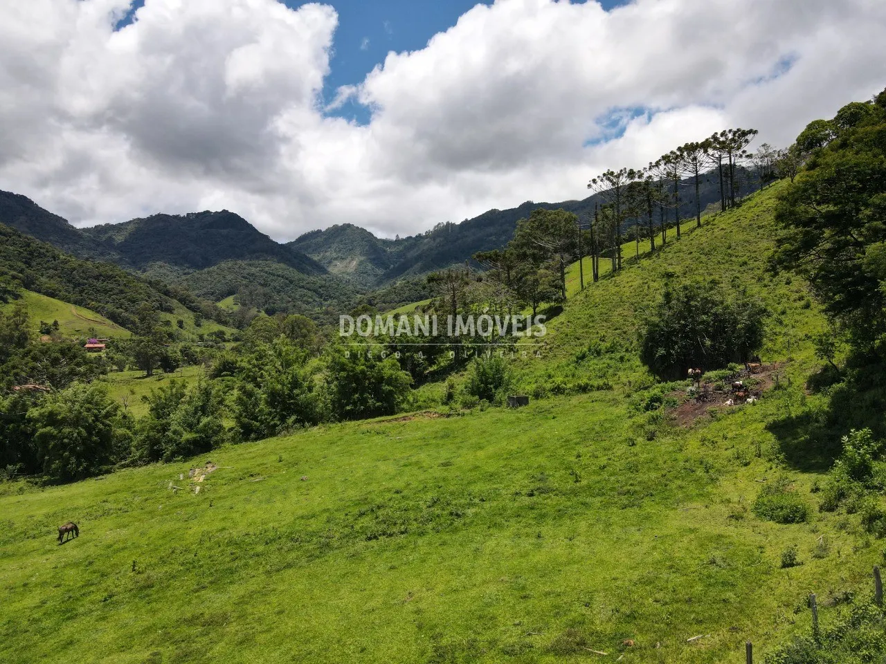 Small farm for sale of 15 acres in Campos do Jordão, SP, Brazil