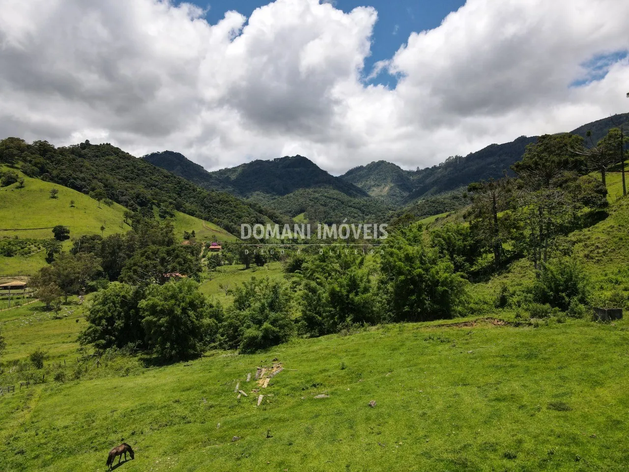 Small farm for sale of 15 acres in Campos do Jordão, SP, Brazil