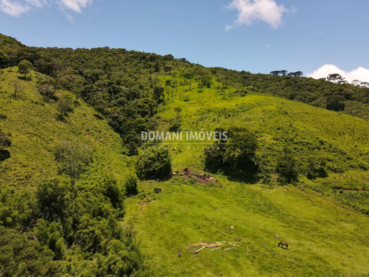Small farm for sale of 15 acres in Campos do Jordão, SP, Brazil