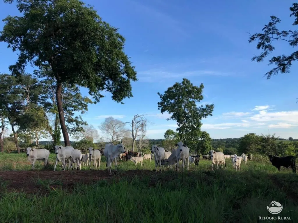 Farm for sale of 19,338 acres in Alcinópolis, MS, Brazil