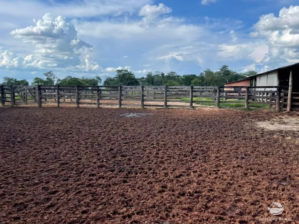 Farm for sale of 19,338 acres in Alcinópolis, MS, Brazil