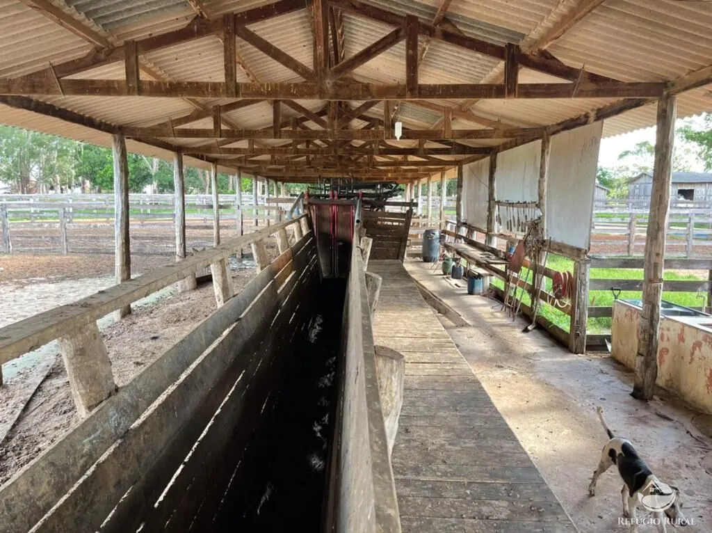 Farm for sale of 19,338 acres in Alcinópolis, MS, Brazil