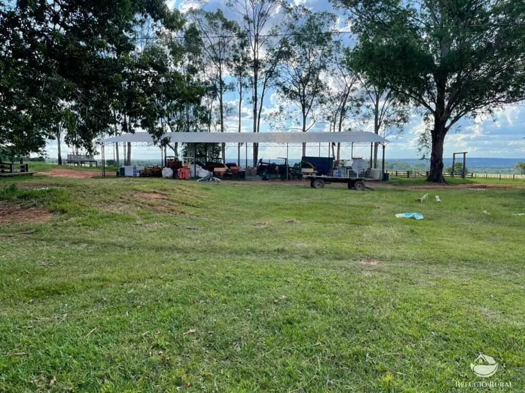 Farm for sale of 19,338 acres in Alcinópolis, MS, Brazil