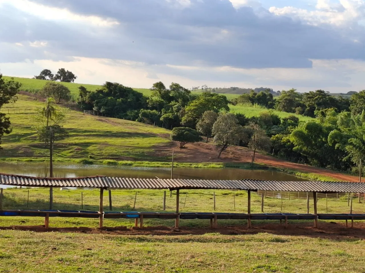 Fazenda à venda de 30 ha em Cesário Lange, SP, Brasil