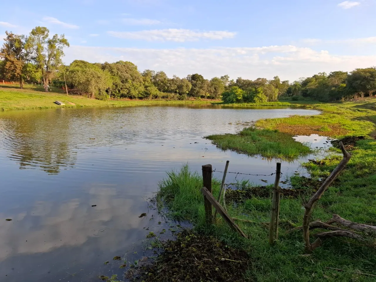 Fazenda à venda de 30 ha em Cesário Lange, SP, Brasil
