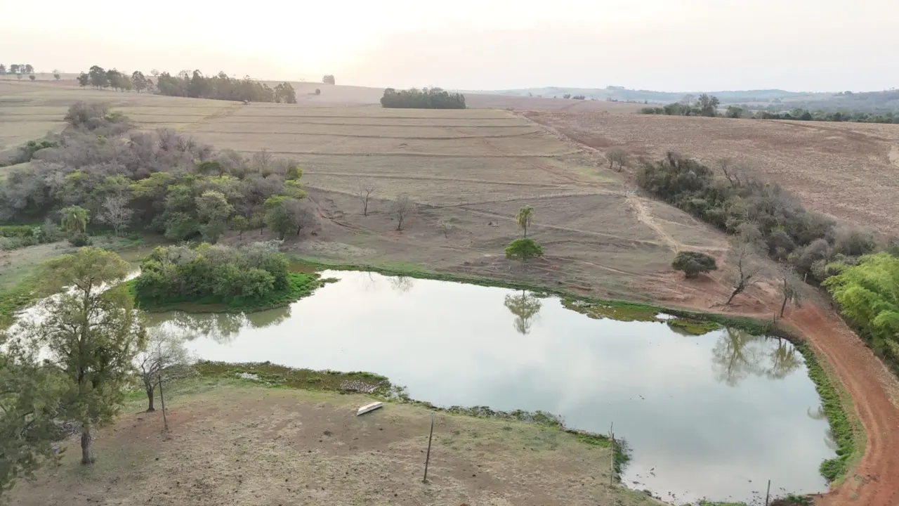 Fazenda à venda de 30 ha em Cesário Lange, SP, Brasil