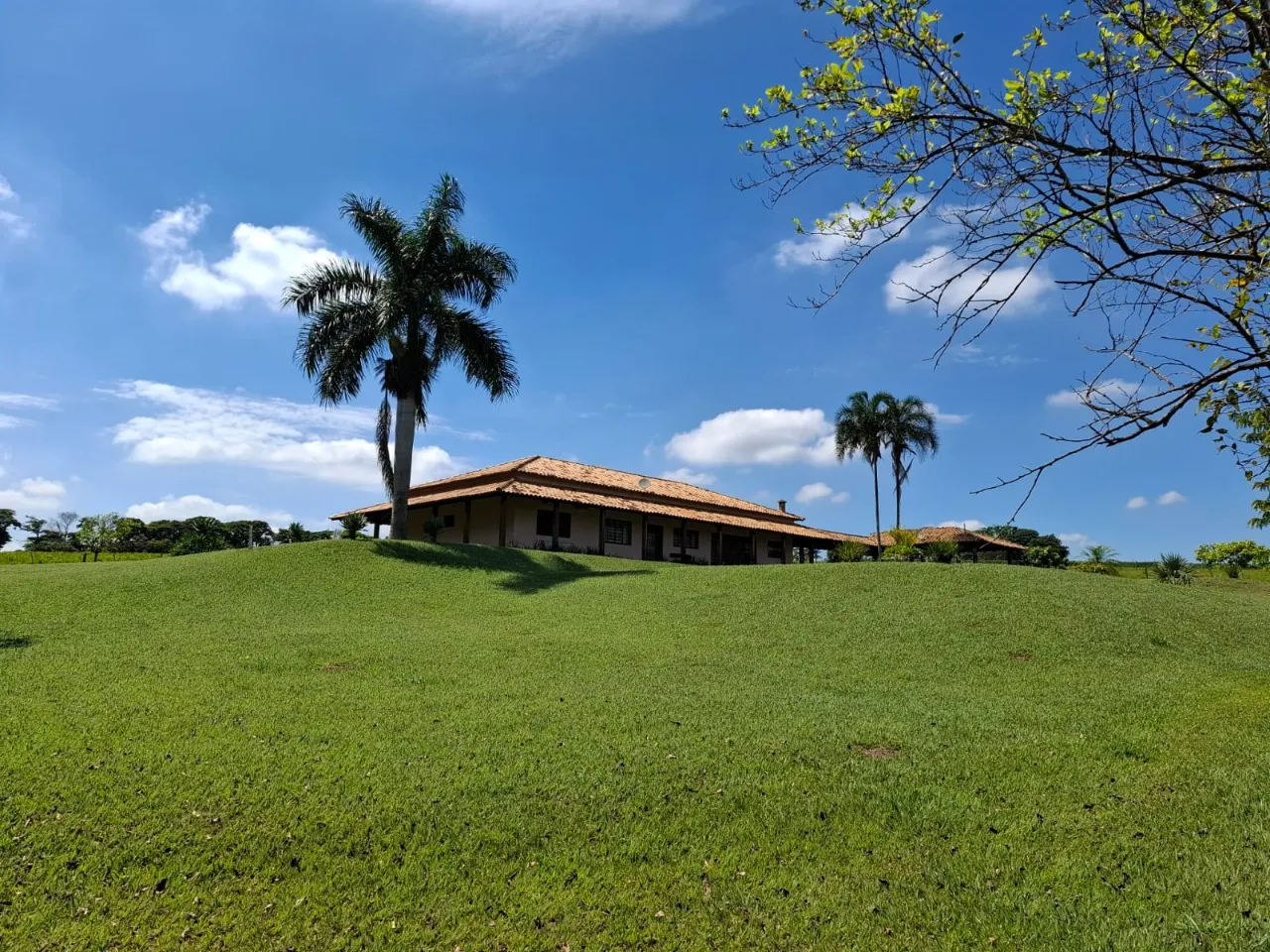Fazenda à venda de 30 ha em Cesário Lange, SP, Brasil