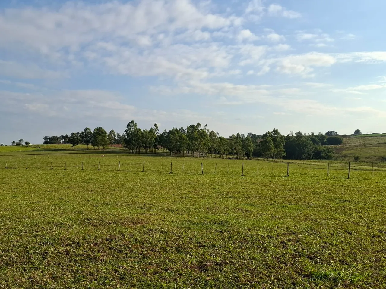 Fazenda à venda de 30 ha em Cesário Lange, SP, Brasil