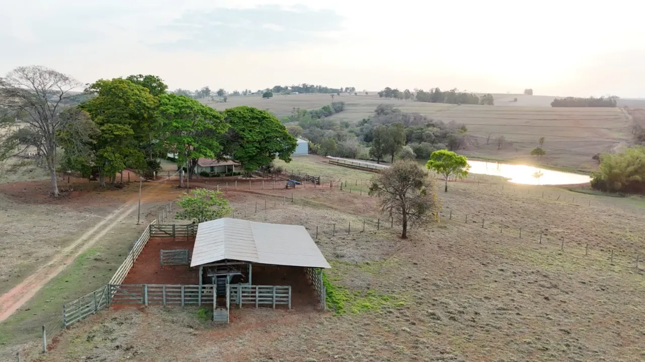 Fazenda à venda de 30 ha em Cesário Lange, SP, Brasil