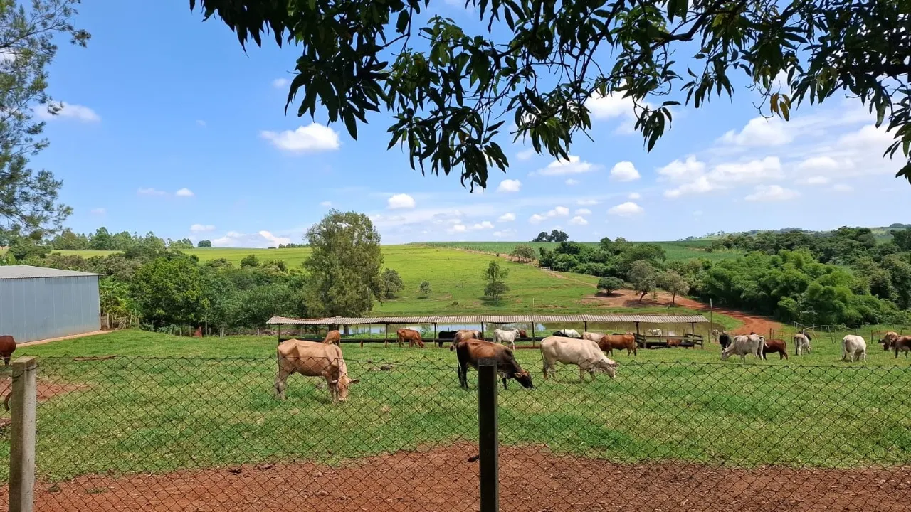 Fazenda à venda de 30 ha em Cesário Lange, SP, Brasil