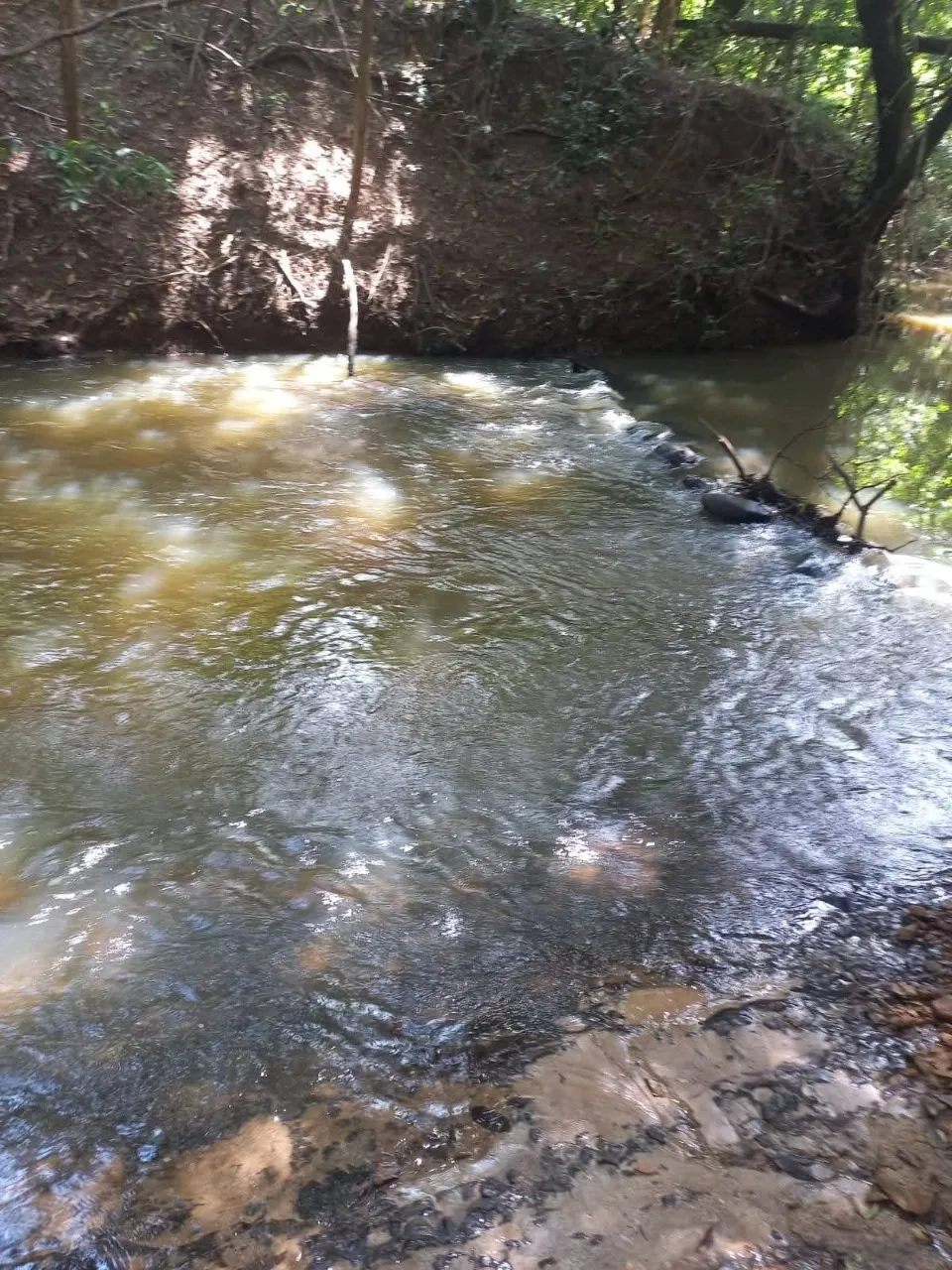 Fazenda à venda de 30 ha em Cesário Lange, SP, Brasil