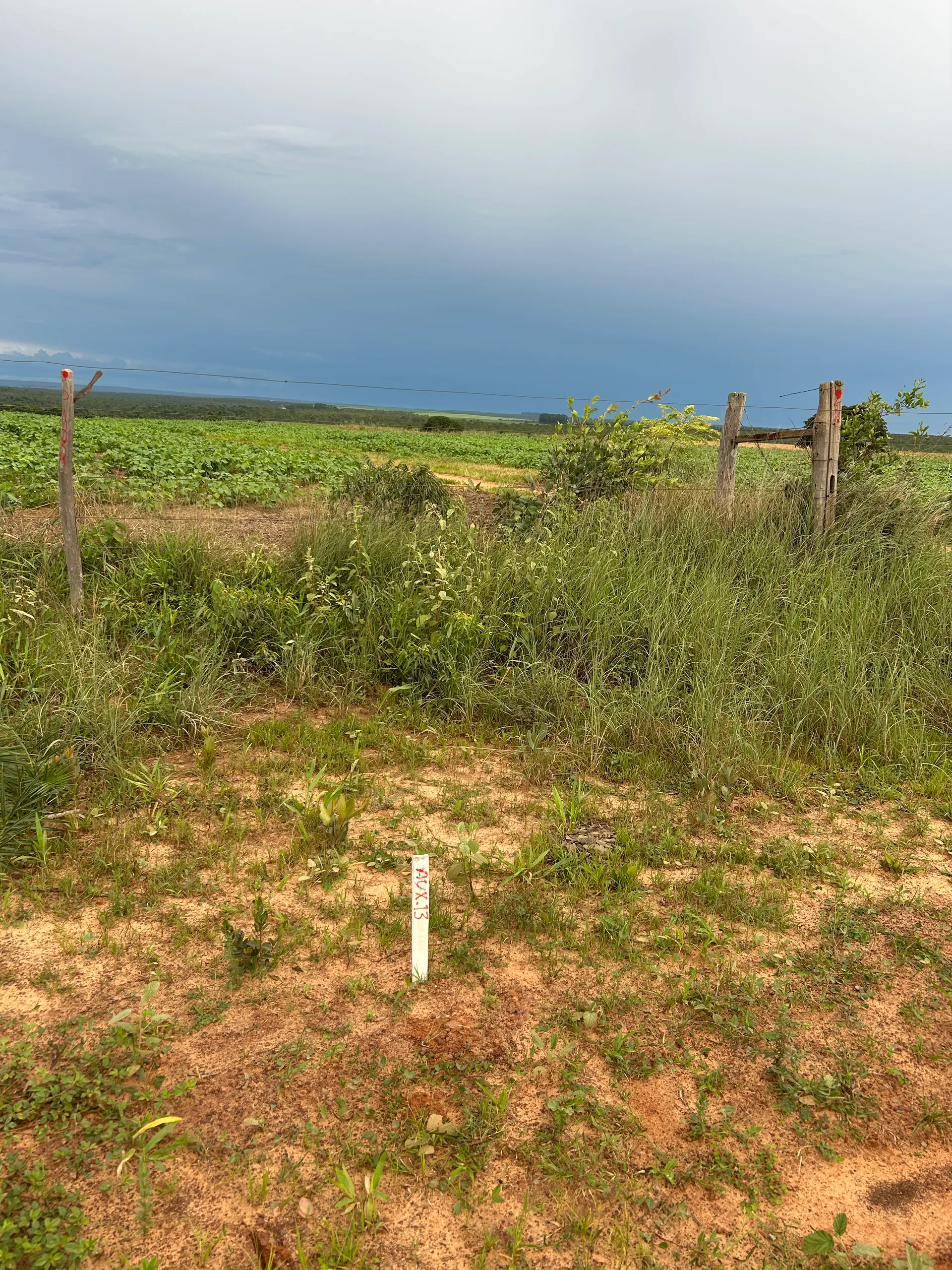 Farm for sale of 494 acres in Sítio d'Abadia, GO, Brazil