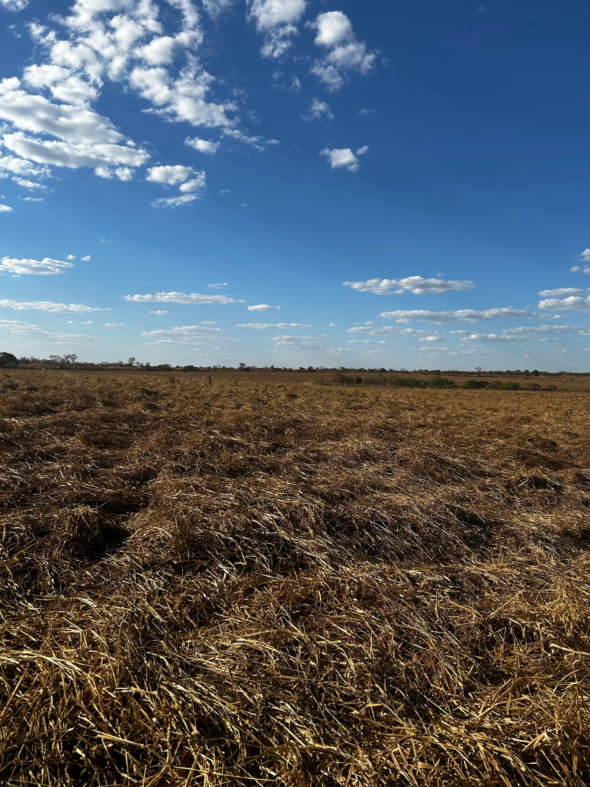 Farm for sale of 494 acres in Sítio d'Abadia, GO, Brazil