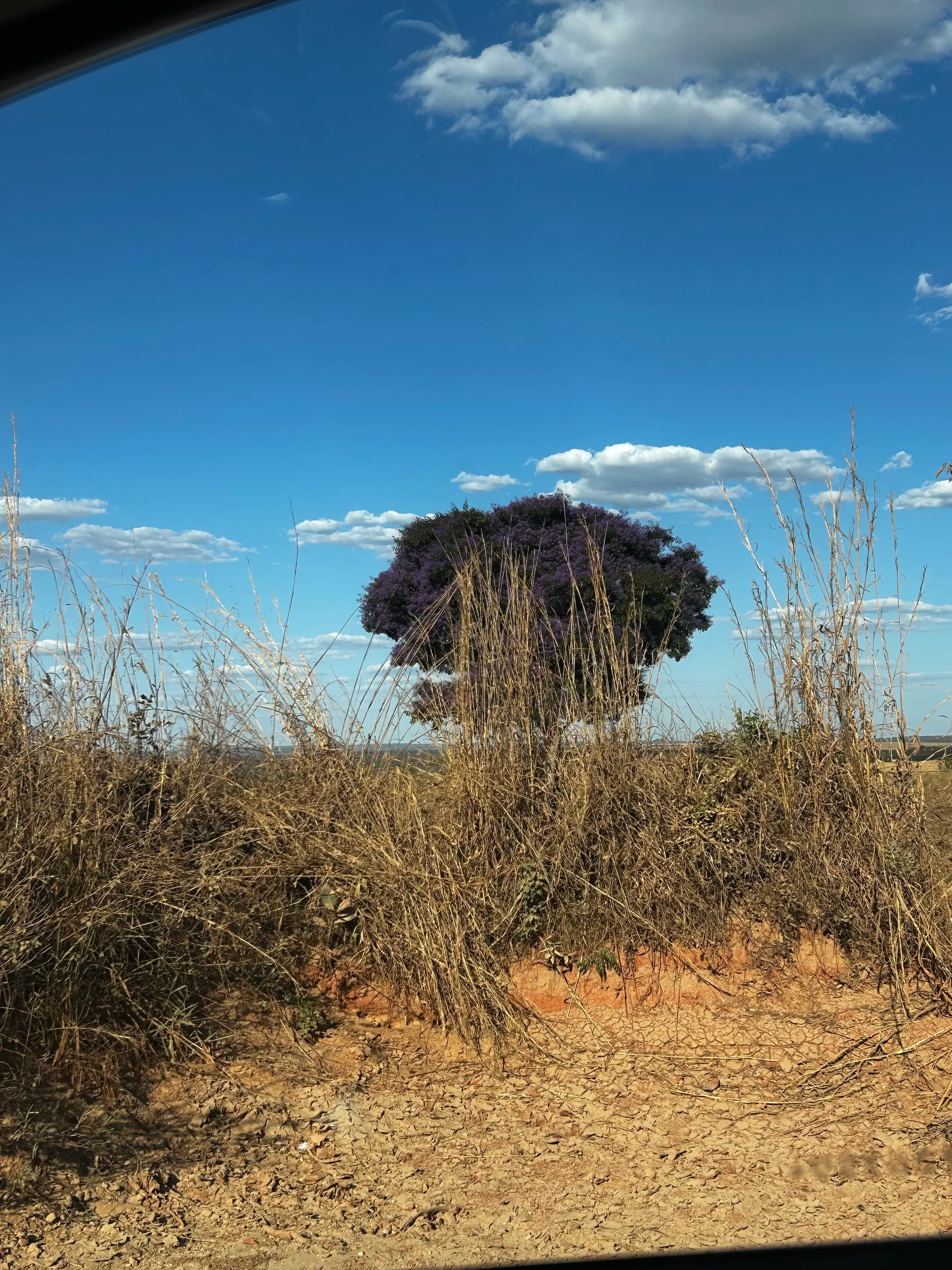 Farm for sale of 494 acres in Sítio d'Abadia, GO, Brazil