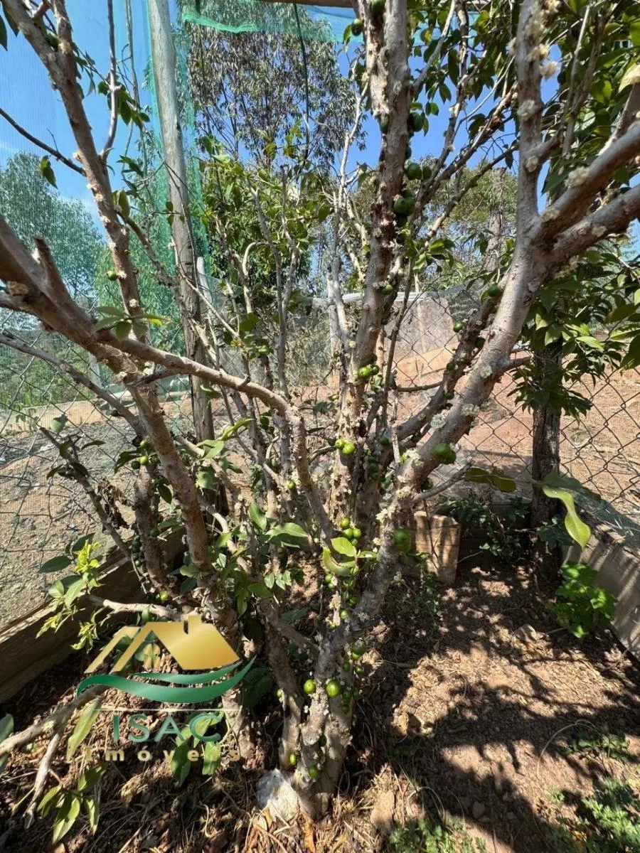 Chácara à venda de 2 ha em Atibaia, SP, Brasil