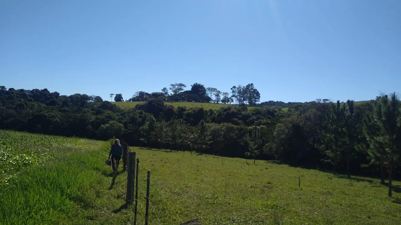 Sítio à venda de 15 ha em Itapetininga, SP, Brasil