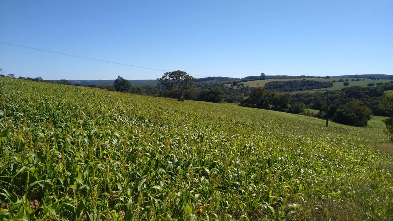 Sítio à venda de 15 ha em Itapetininga, SP, Brasil