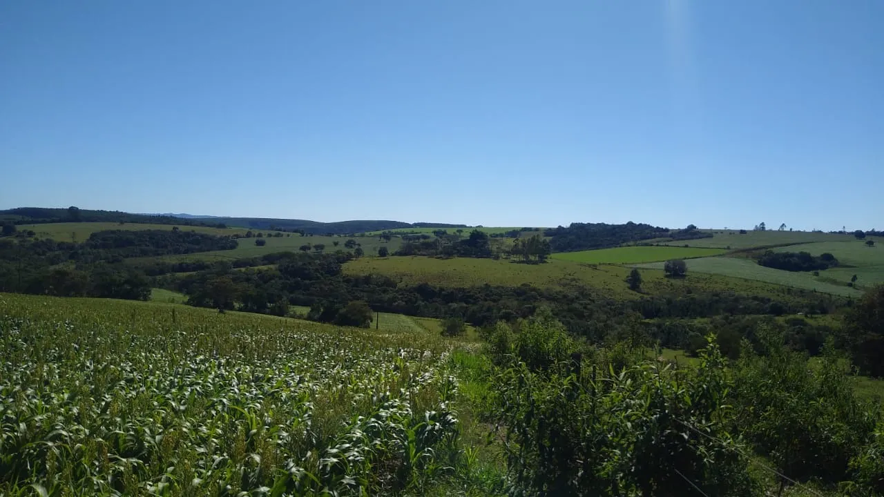 Sítio à venda de 15 ha em Itapetininga, SP, Brasil