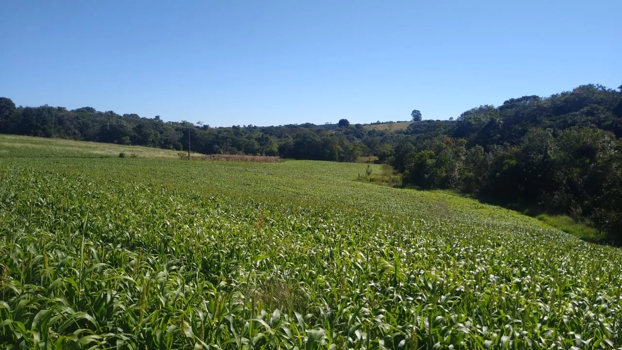 Sítio à venda de 15 ha em Itapetininga, SP, Brasil