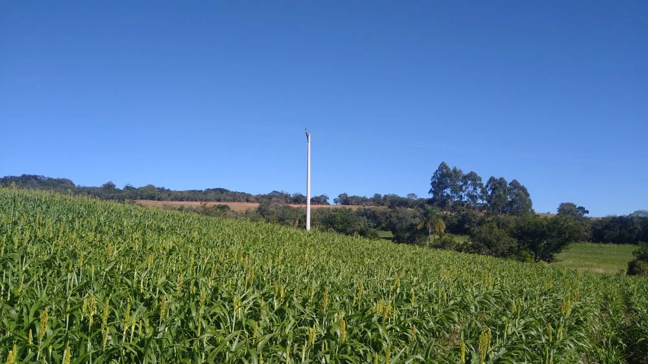 Sítio à venda de 15 ha em Itapetininga, SP, Brasil
