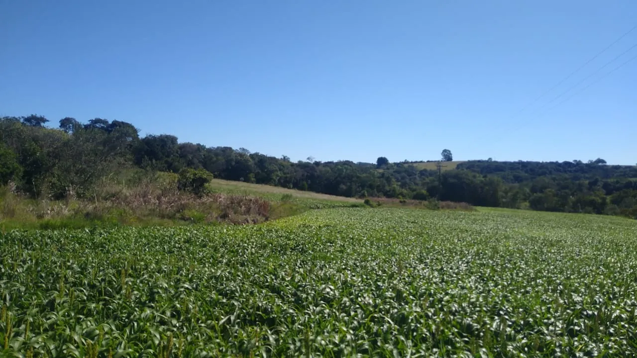 Sítio à venda de 15 ha em Itapetininga, SP, Brasil