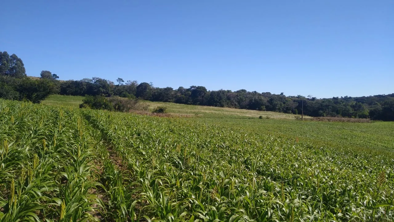 Sítio à venda de 15 ha em Itapetininga, SP, Brasil