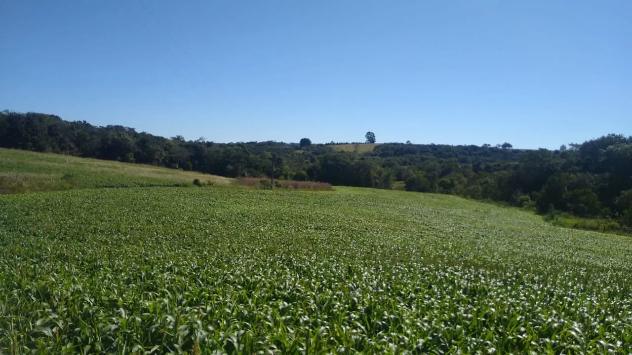 Sítio à venda de 15 ha em Itapetininga, SP, Brasil